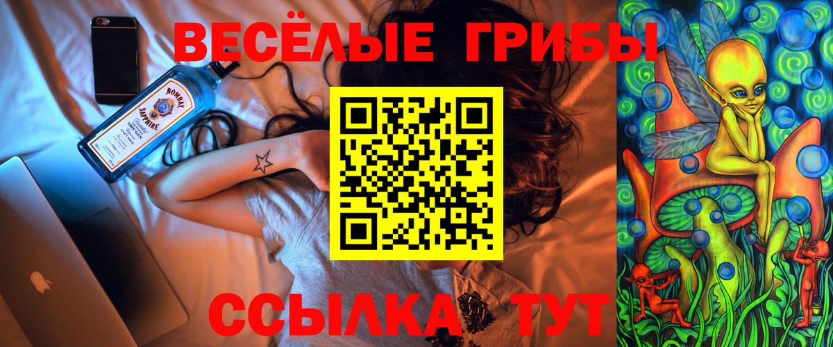 Галлюциногенные грибы Cubensis  Вход с VPN  Ковров 