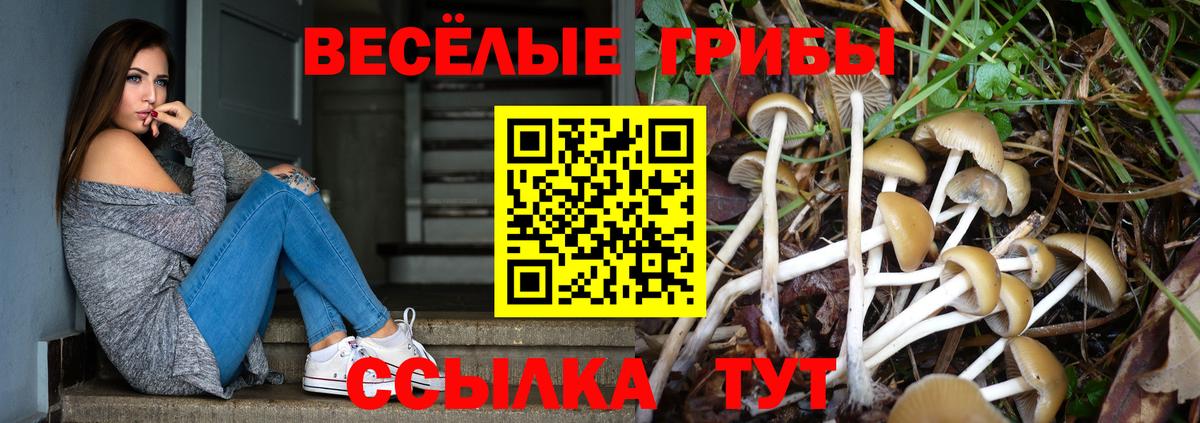 Псилоцибиновые грибы MAGIC MUSHROOMS Ковров